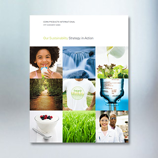 Atualização do relatório de sustentabilidade de 2011