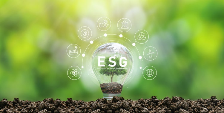 Light bulb with a tree growing inside, placed on soil, surrounded by ESG icons representing sustainability, renewable energy, recycling, and social responsibility, symbolizing Environmental, Social & Governance practices