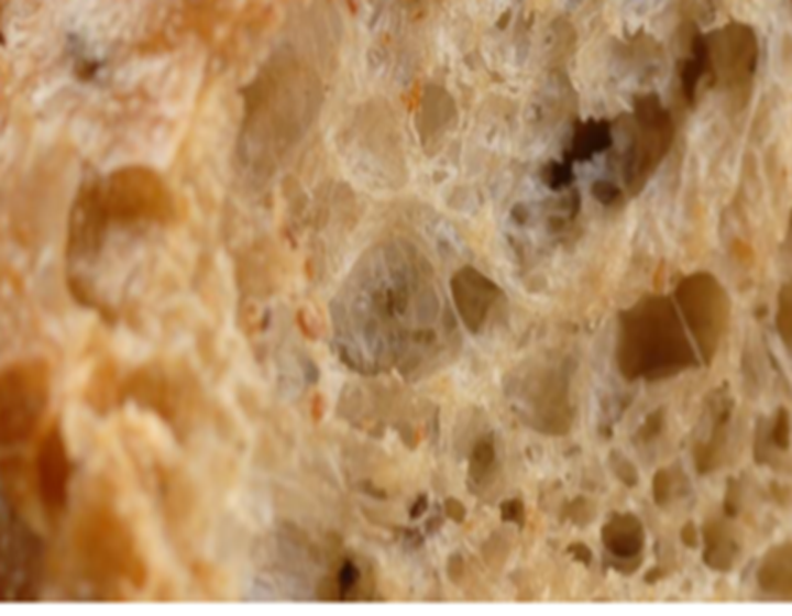 Close-up texture of freshly baked bread showing its airy, golden crumb and crisp surface.