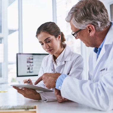 ステビアのアレルギー