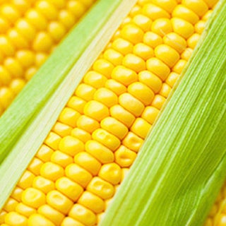HI-MAIZE® 260