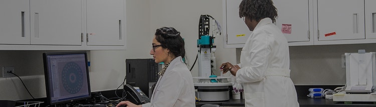 ステビアの科学・研究