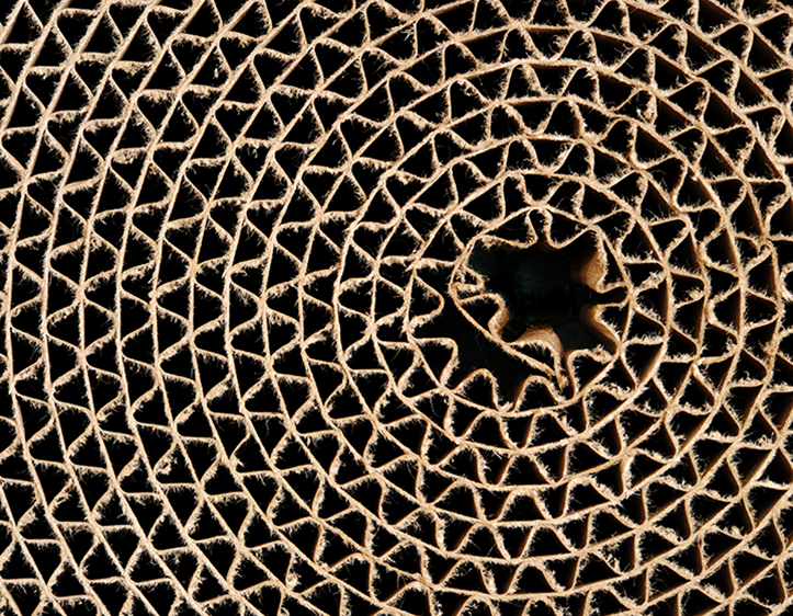 A spiral of rolled corrugated cardboard