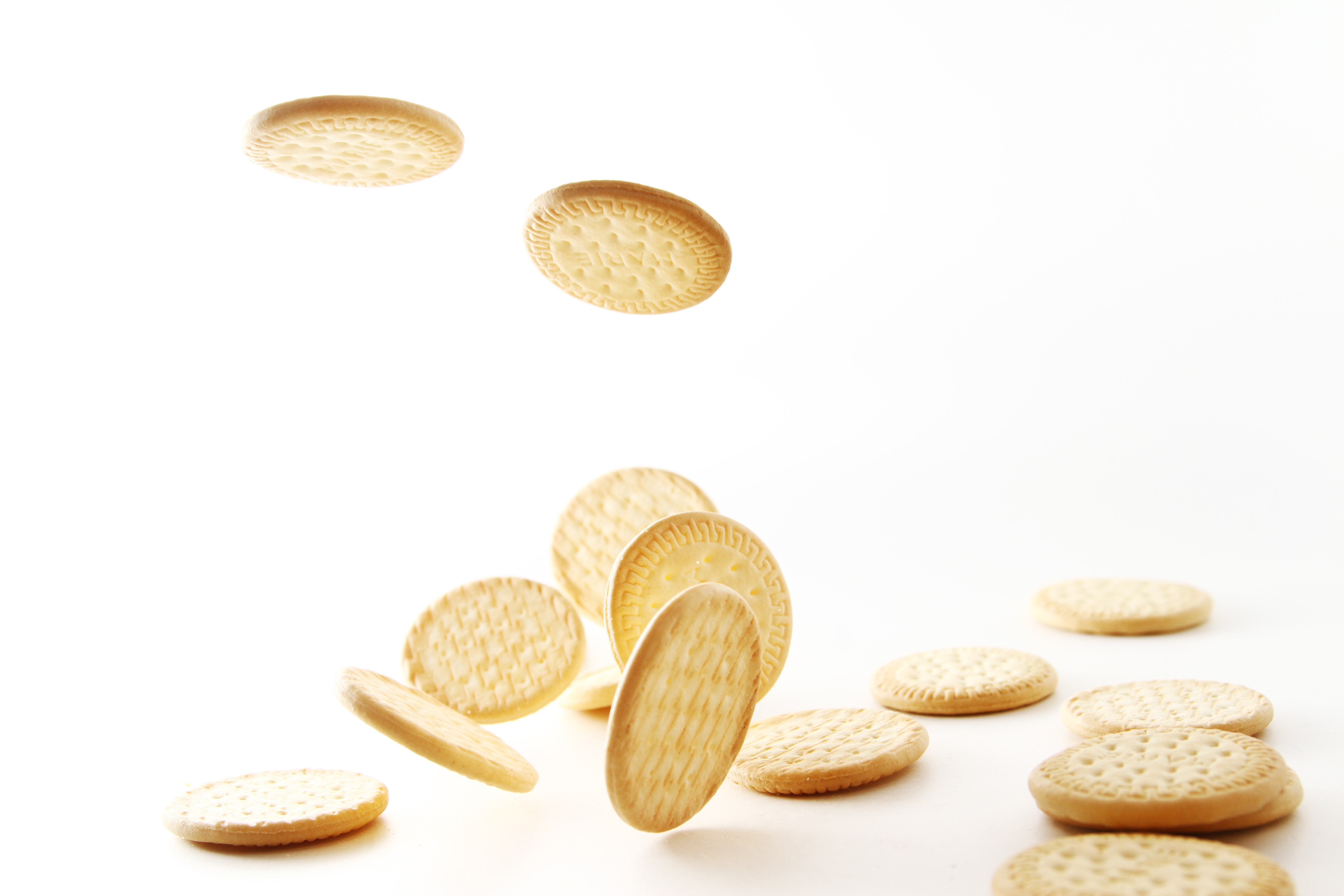 Marie biscuit in white background / A Marie biscuit is a type of biscuit similar to a rich tea biscuit.
