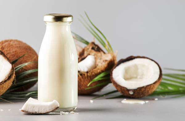 Coconut non dairy vegan milk in bottle with shell. Gray backgound with copy space