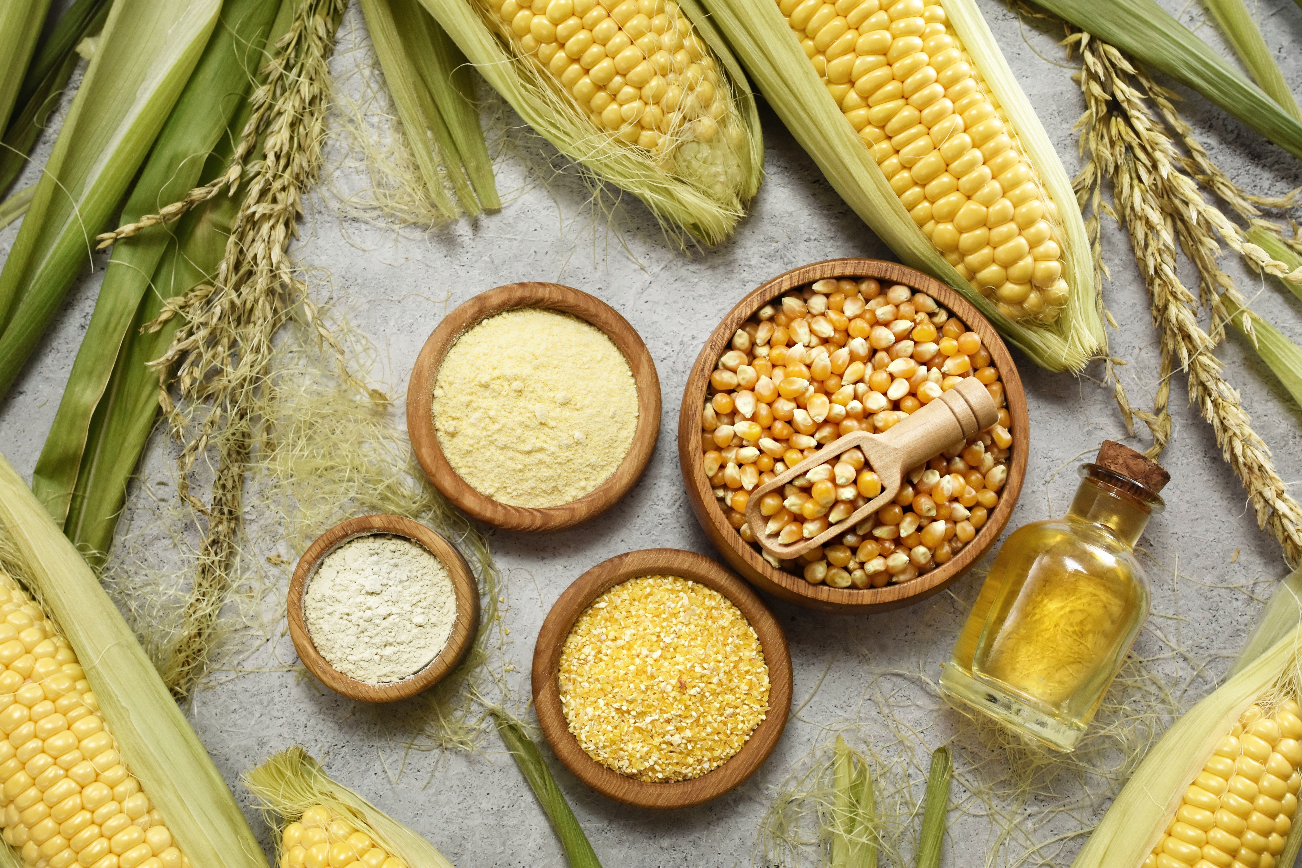 Yellow corn kernels, seeds, flour, starch and oil on corn harvest background, healthy diet vegetarian food