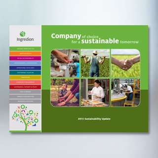 Atualização do relatório de sustentabilidade de 2015