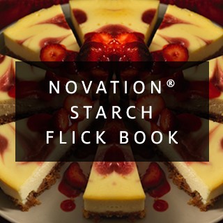 NOVATION STARCH FLICKBOOK - PROMO PANEL