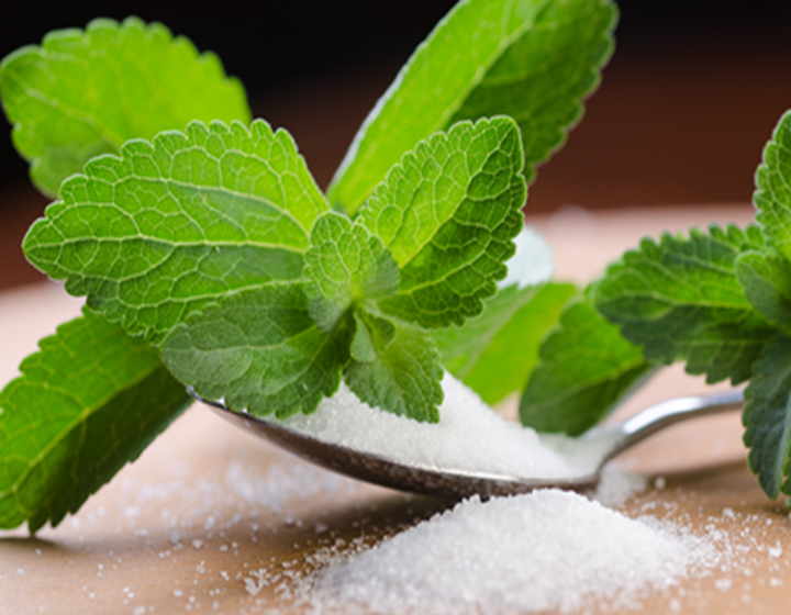 Fresh green stevia leaves with a spoonful of white granulated sweetener