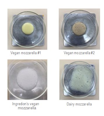 A group of round objects in a petri dish AI-generated content may be incorrect., Imagen