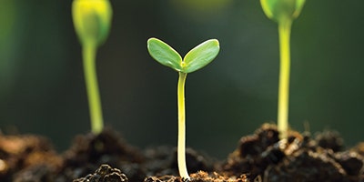 Sustainability