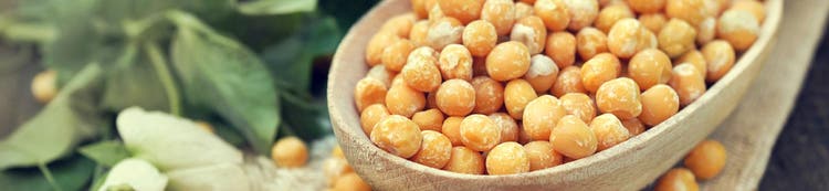 Pea starch