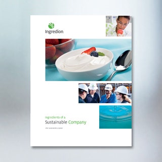 Actualización de la sostenibilidad en 2012