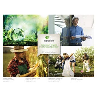 Actualización de la sostenibilidad en 2017