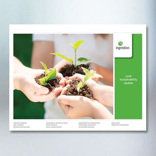 Actualización sostenibilidad 2016