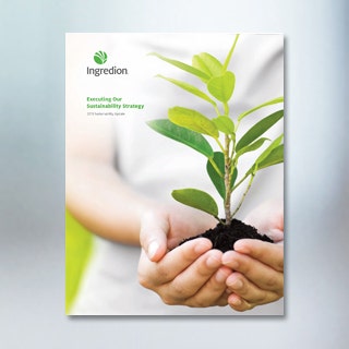 Actualización de sostenibilidad 2018